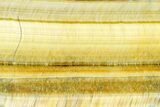 Polished Honey Tiger's Eye Slab - South Africa #146403-1
